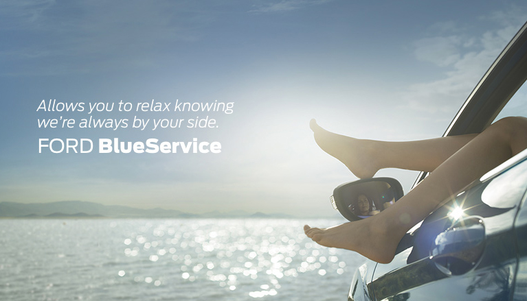 Blue Service